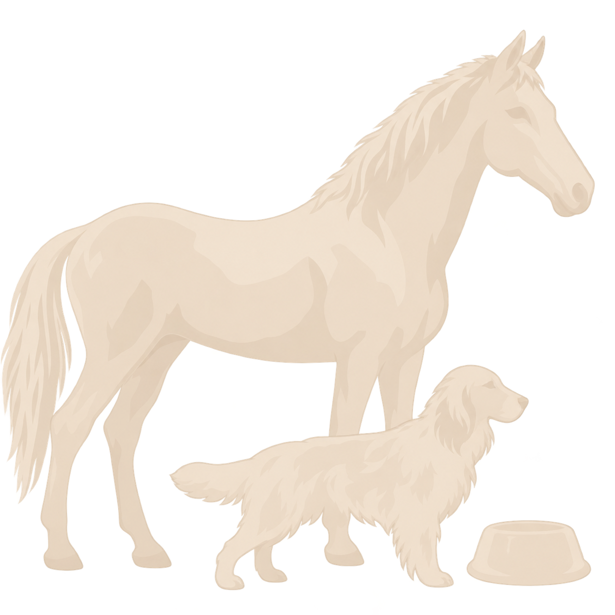 Four legged friends